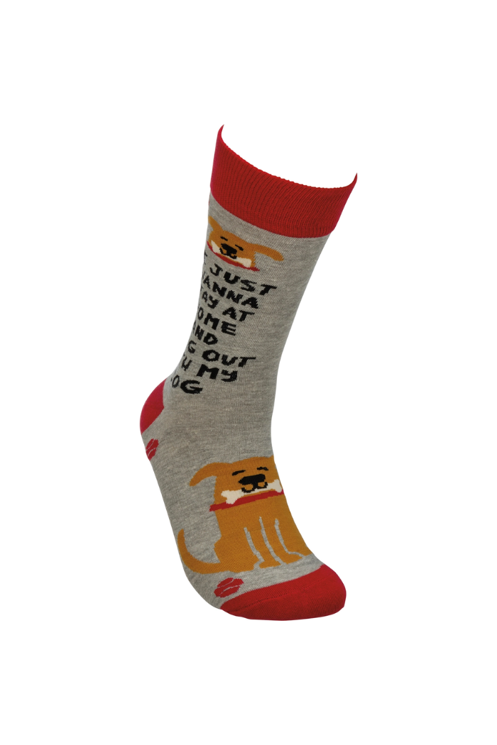 I Just Wanna Hang with My Dog Socks