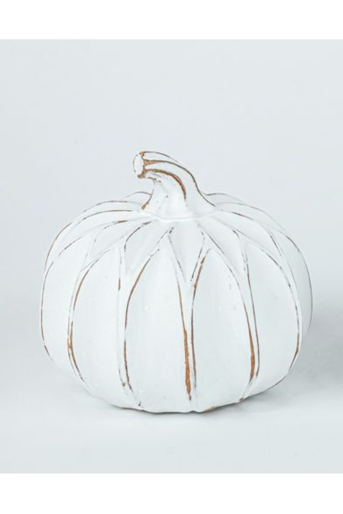 White Washed Pumpkin Tabletop