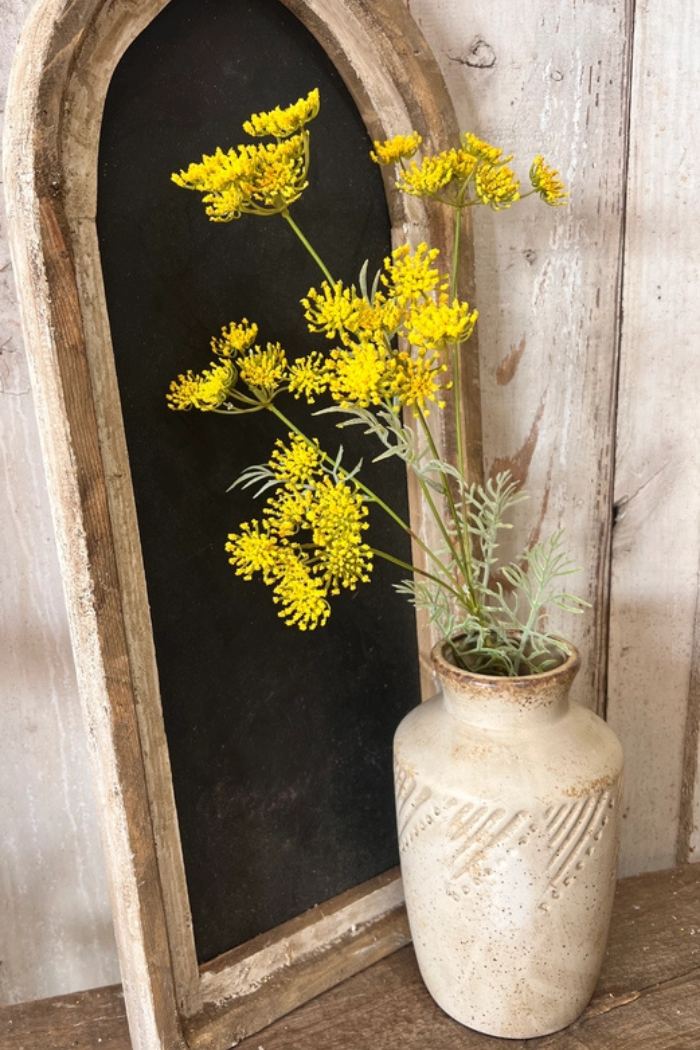 Yellow Queen Anne's Lace