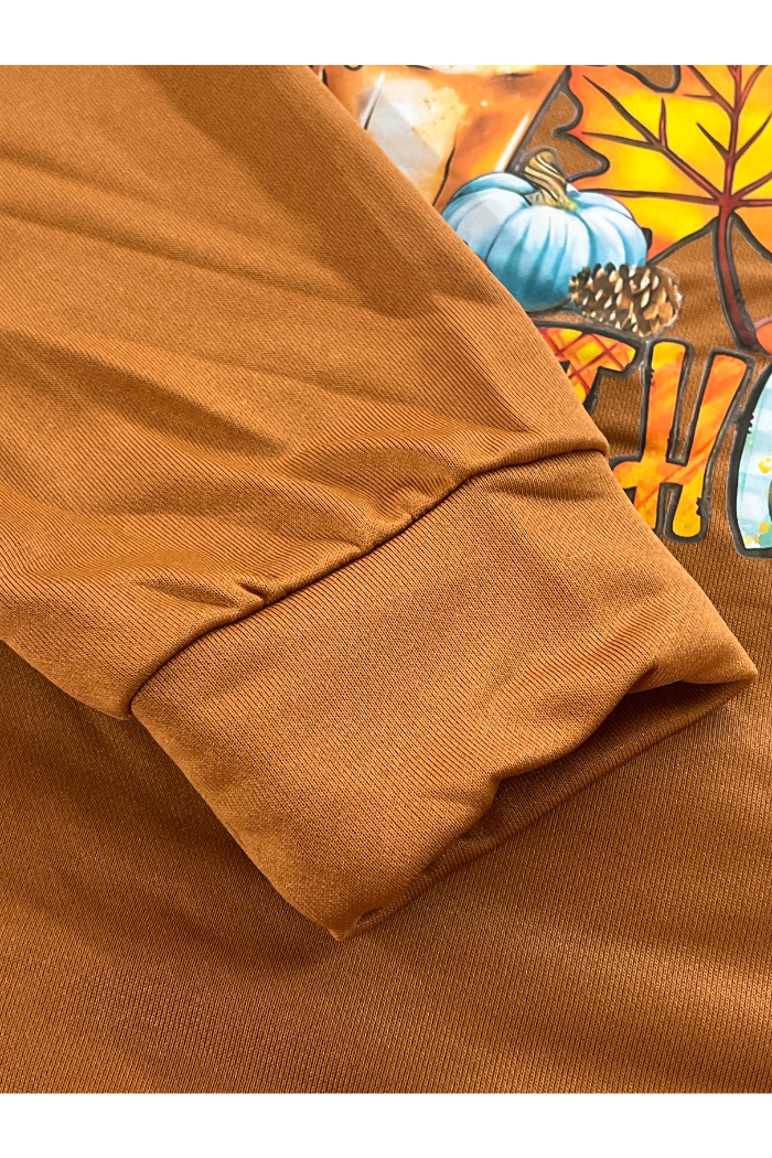 A close-up of the sleeve and part of the chest of a brown long-sleeved shirt with a fall-themed graphic. The graphic includes elements like a blue pumpkin, pinecones, and autumn leaves in shades of orange and yellow. The sleeve has a ribbed cuff.