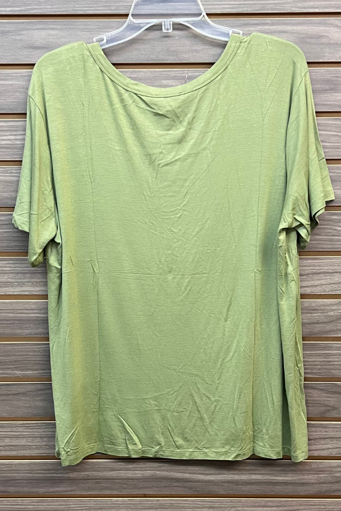 A Plus Size Rayon Tee in light green, made from a soft rayon blend with short sleeves and a relaxed fit, is shown slightly wrinkled on a clear hanger against a wooden slat wall.