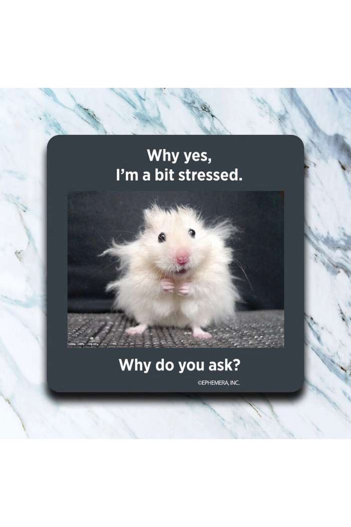 A fluffy white hamster with messy fur and wide eyes sits looking startled, captioned: Why yes, I'm a bit stressed. Why do you ask?—a funny image featured on Retro Humor Drink Coasters, perfect for those who enjoy a humorous coaster set.