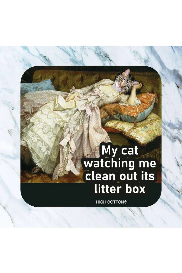 A meme features a cat's head on a woman in a fancy dress lounging on a couch, with the text: My cat watching me clean its litter box—an ideal addition to any Retro Humor Drink Coasters collection.