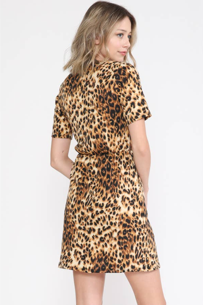 Animal Print Dress