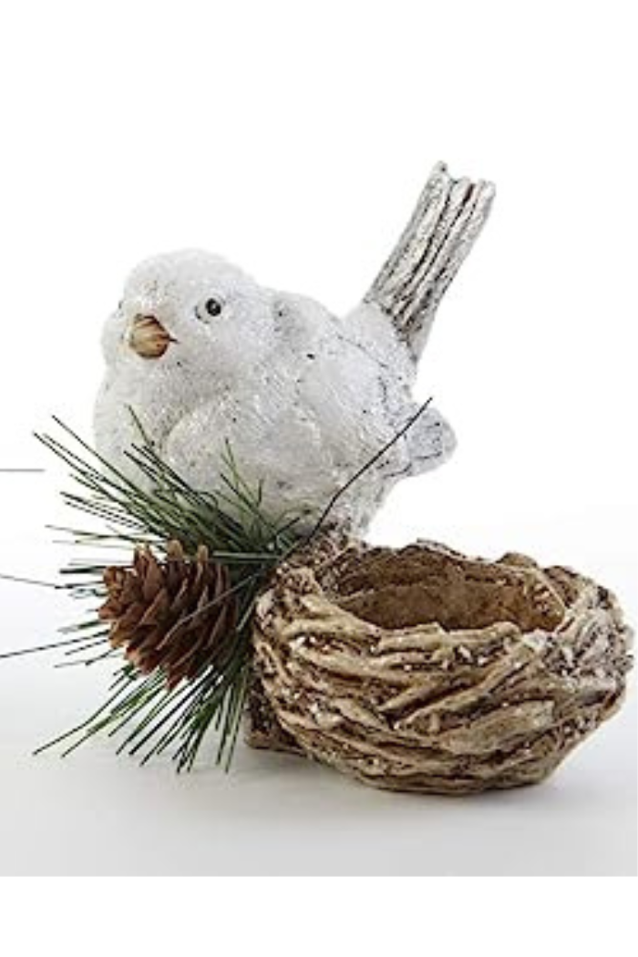 Snowbird with Nest