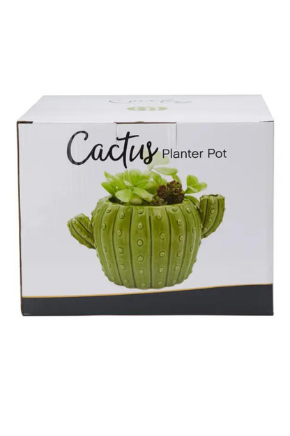 Cactus Flower Pot