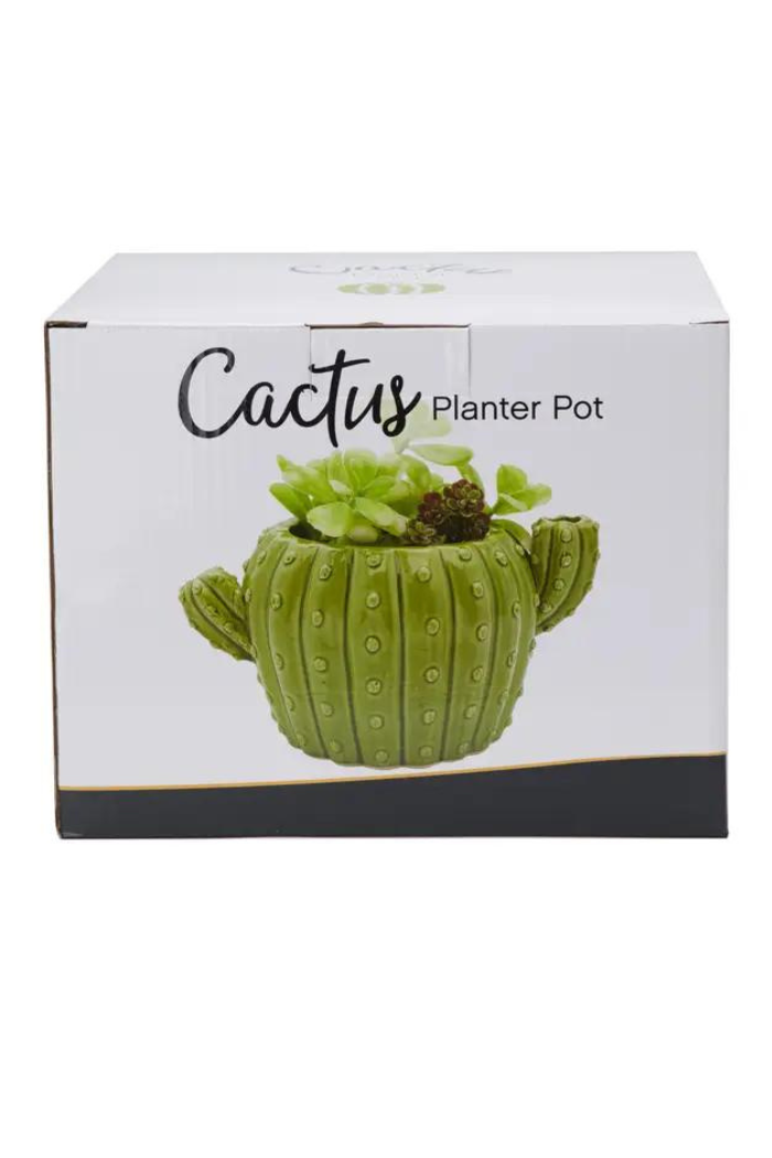 Cactus Flower Pot