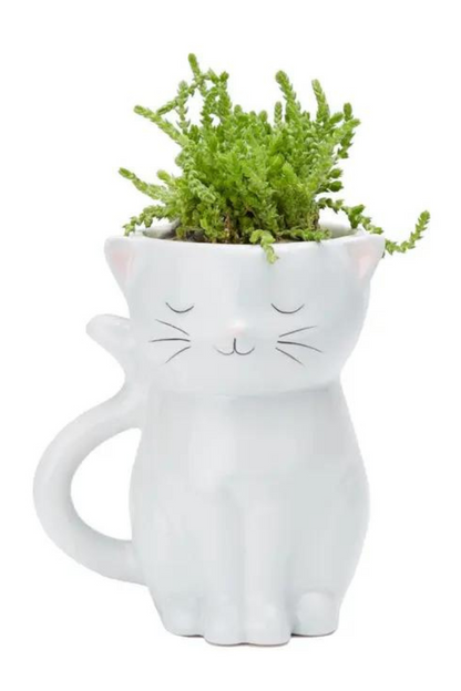 Sweetie Cat Planter