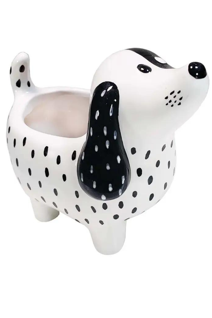 Spotty Dog Planter