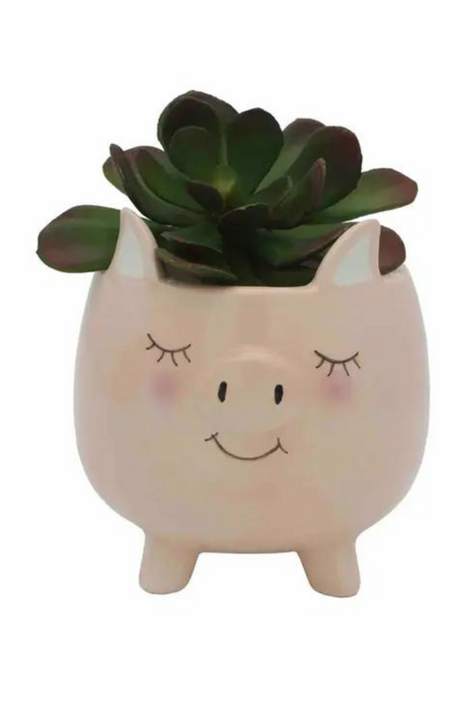 Piggy Planter