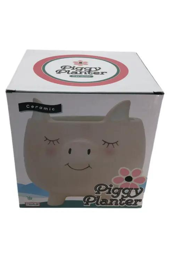 Piggy Planter