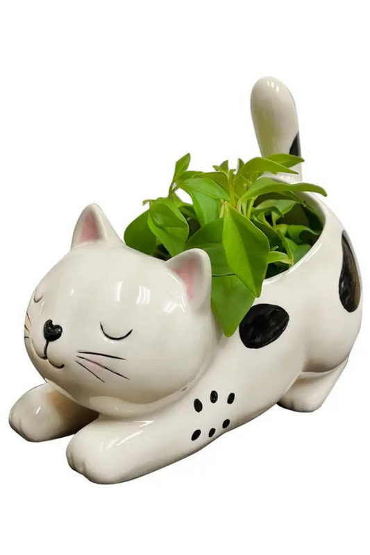 Raise Your Bum Kitty Planter