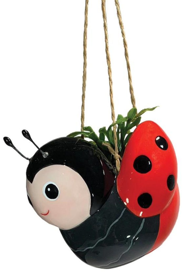 Mini Bee & Ladybug Hanging Planters