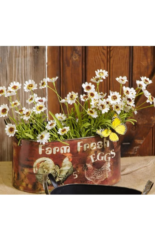 Farm Fresh Eggs - Oval Planter